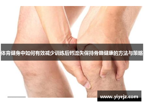 体育健身中如何有效减少训练后钙流失保持骨骼健康的方法与策略